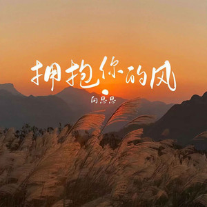 拥抱你的风