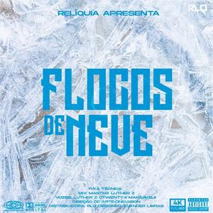 FLOCOS DE NEVE