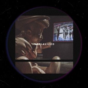 孤独的群居动物（Social Animal）