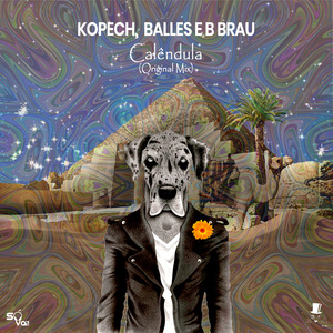 Calendula (Original Mix)