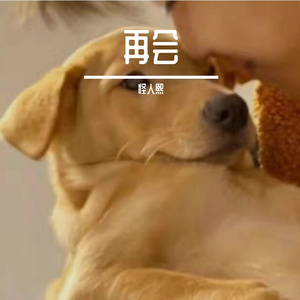 我不要陪你玩了（feat. AKA.1080p）