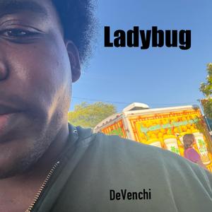 Ladybug