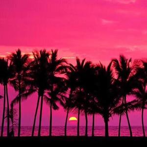 晚风（翻自 Copy）