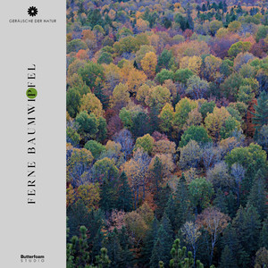 Pebble's Guided Transition