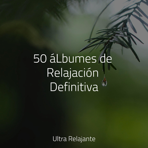 Sensaciones Sinfónicas