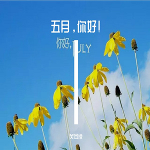 五月，你好 伴奏