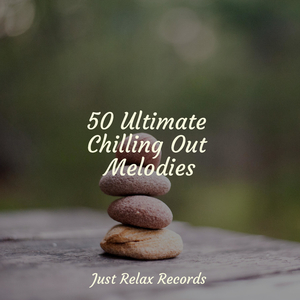 Melodic Ecstasy's Chorus