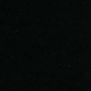 Cruise Ship Preacher (Demo)