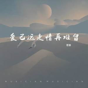 爱已远走情再难留