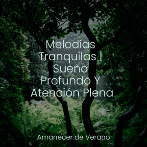 Desvelando Reflexiones Internas