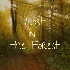 Soothing Waterfalls, Pt. 2