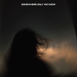 Somewhere Only We Know