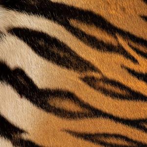 Young Xxxg-WOOO（阁少 Music remix）