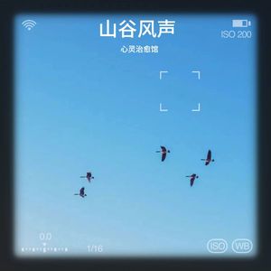 山谷风声
