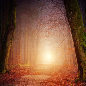 比悲伤更悲伤的故事