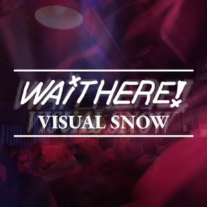 Visual Snow