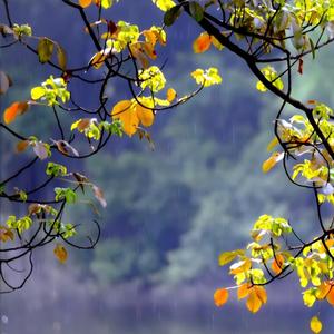 ขอให้เธอโชคดี