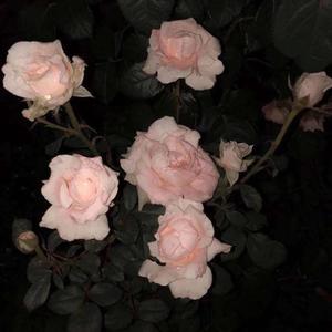 渐冷（吉他版）（翻自 雪二）