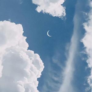 爱了很久的朋友