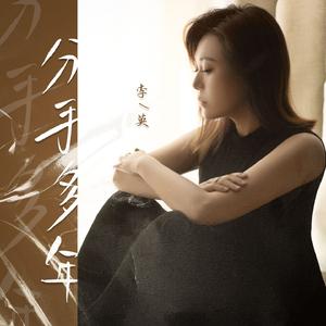 分手多年（DJ月之歌版）