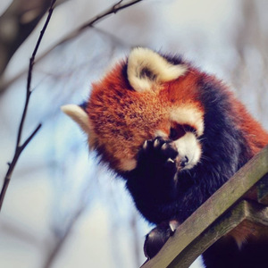 我又谋杀了一夜*