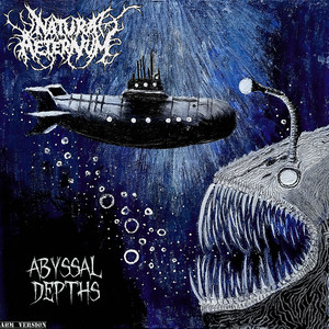 Sperm Whale Vs Squid
