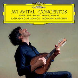Mandolin Concerto in D Major:II. Andantino