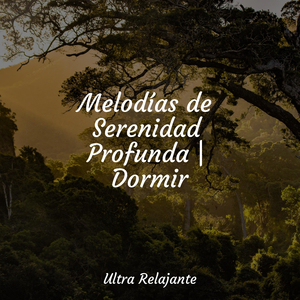 Caminando Contigo