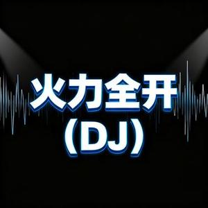 火力全开 (DJ)