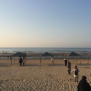 我最近总是梦见你（cover晚睡叭）