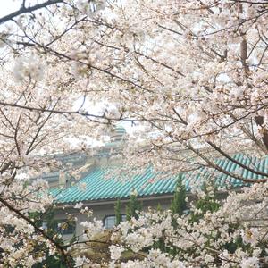 印象国乐·大曲