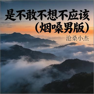 是不敢不想不应该(烟嗓男版)