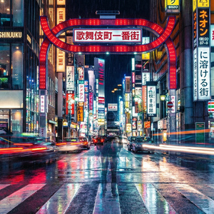 ネオンに溶ける街