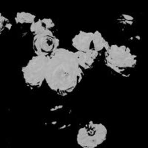 Why U Change? (feat. Khi!)