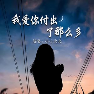 我爱你付出了那么多