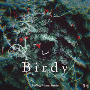 Birdy-