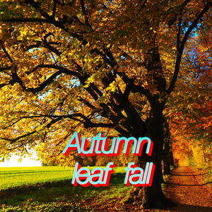 Autumn leaf fall