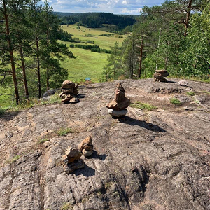 Злобные эльфы