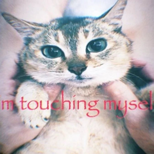 EcHo_10%_202404018_apple