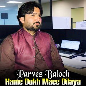 Hame Dukh Maee Dilaya