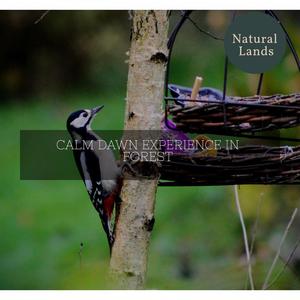 Chromatic Water Flowing