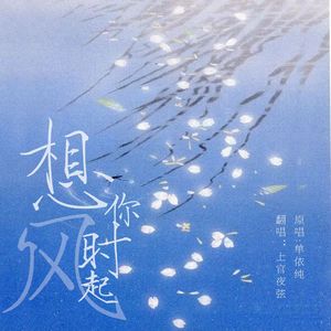 想你时风起