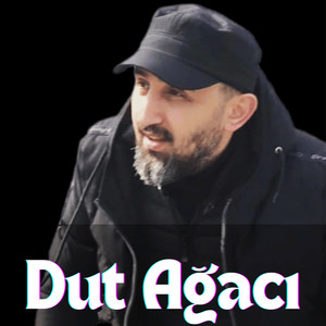 Dut Ağacı