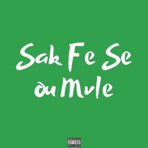 Sak Fe Se Oum Vle