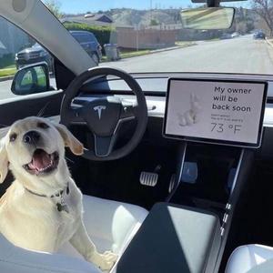 thomeboydontkill-julie（gmx-18 remix）