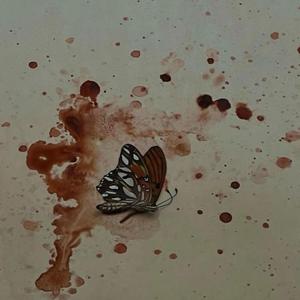 Quisiera Decir Que No