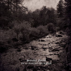 Ego Paenitet In Vere (Intro Mix)