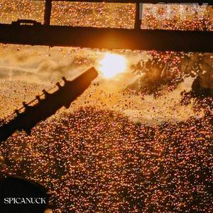 POPPY (You'll Never Get Her Back)