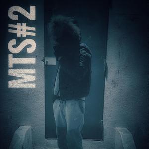 MTS#2
