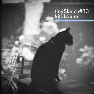 tinySketch #13